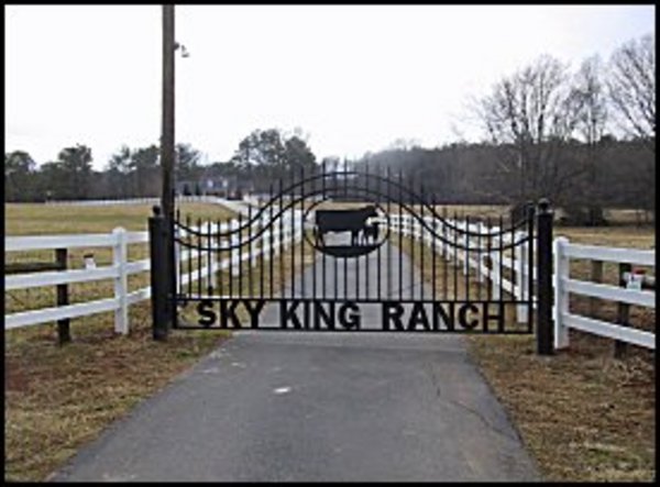 King Ranch Pics